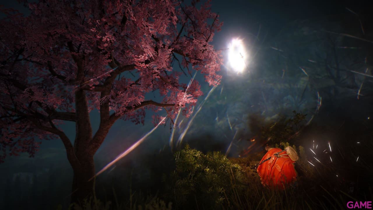 Black Desert Prestige Edition