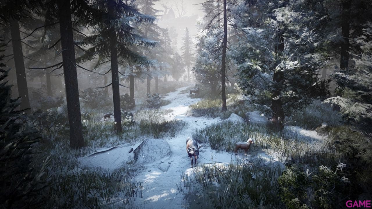 Black Desert Prestige Edition