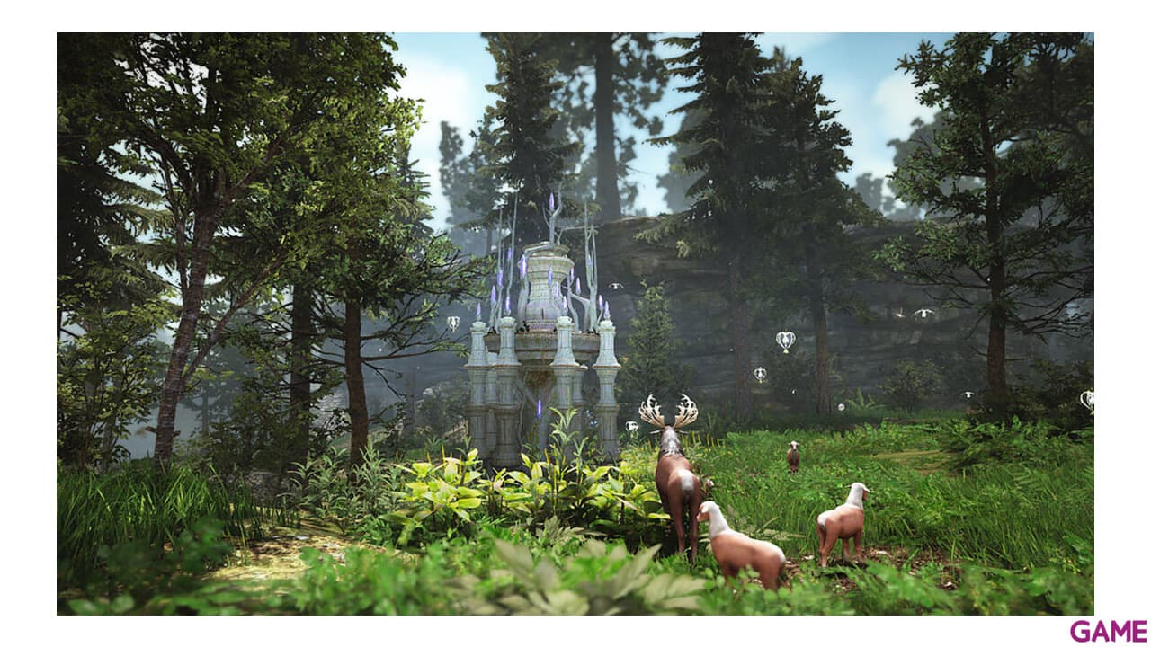 Black Desert Prestige Edition