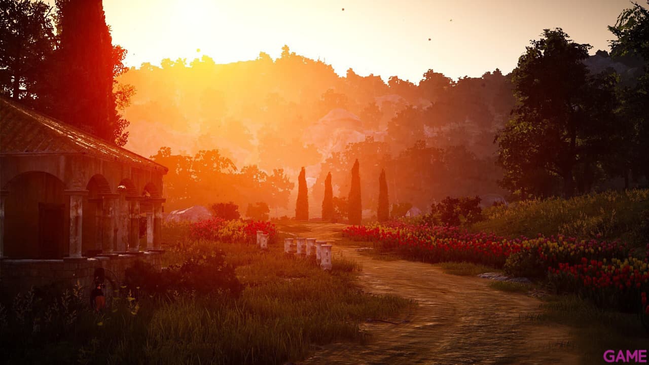 Black Desert Prestige Edition