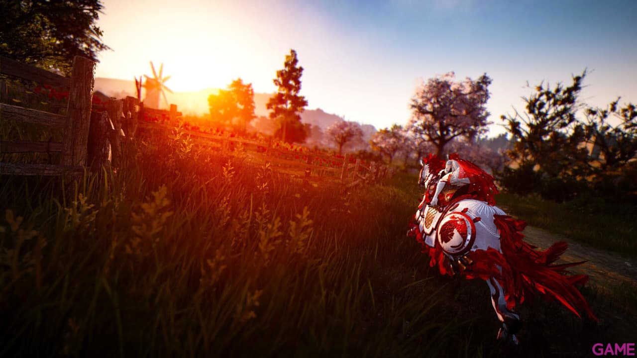 Black Desert Prestige Edition