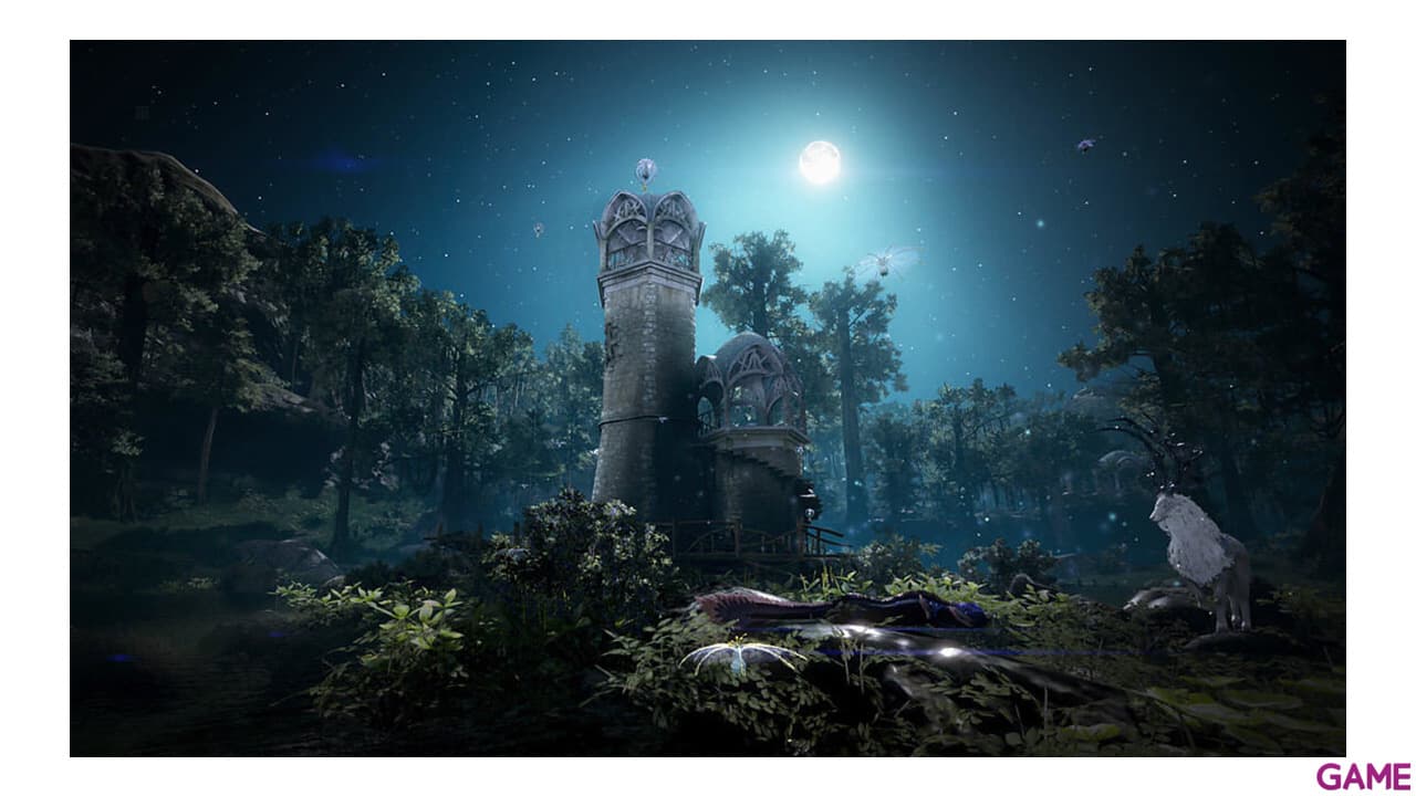 Black Desert Prestige Edition