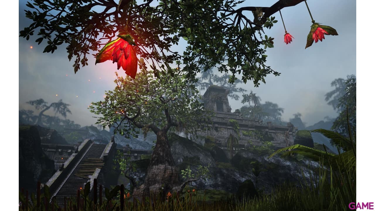 The Elder Scrolls Online Collection Blackwood