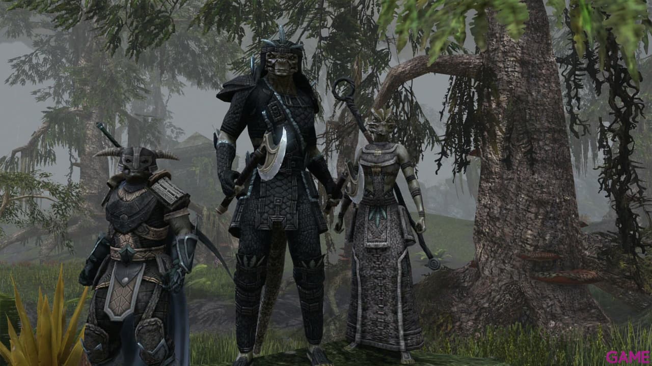 The Elder Scrolls Online Collection Blackwood