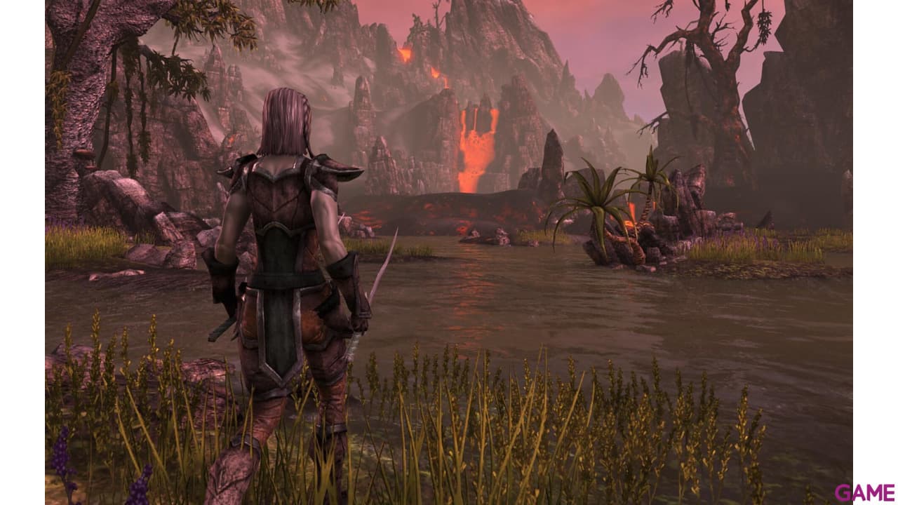 The Elder Scrolls Online Collection Blackwood