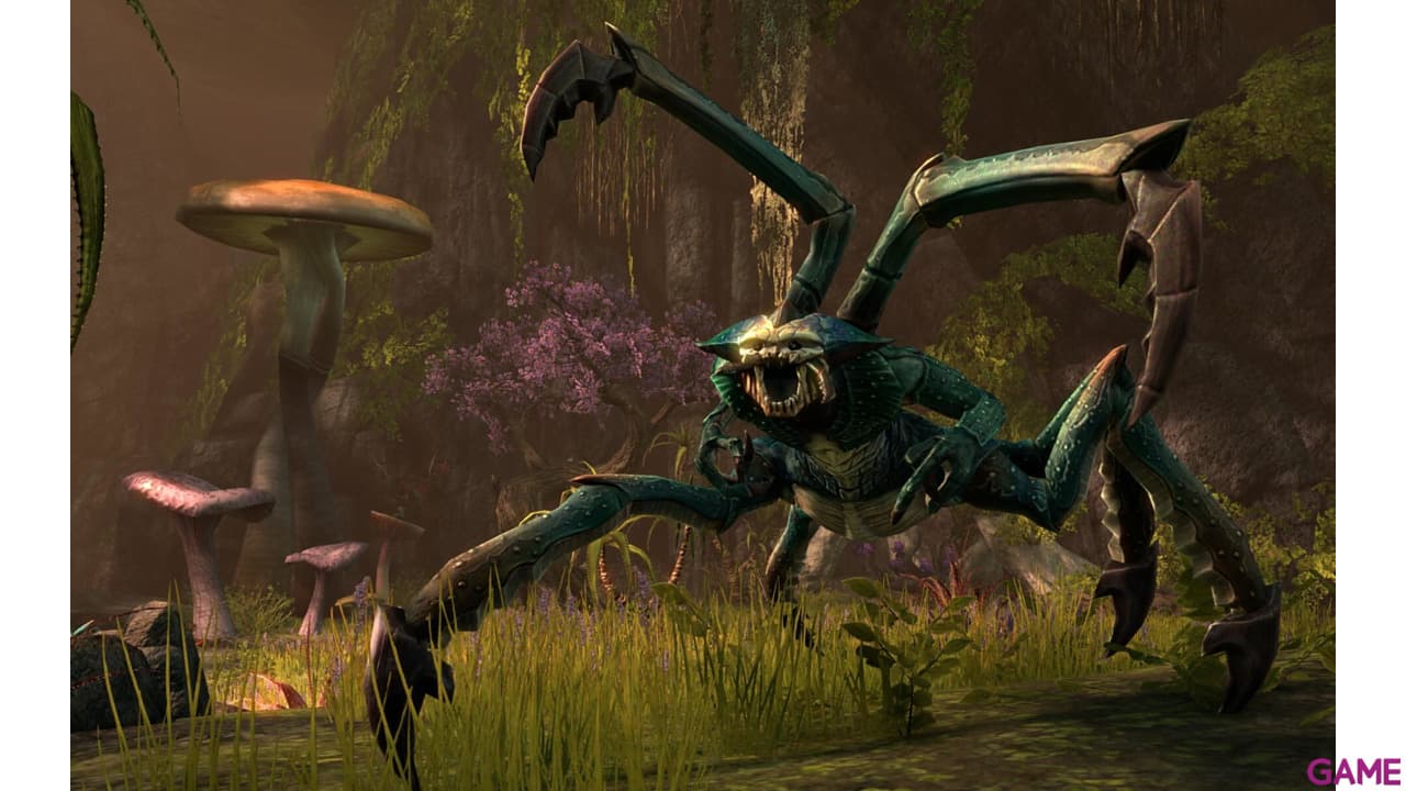 The Elder Scrolls Online Collection Blackwood