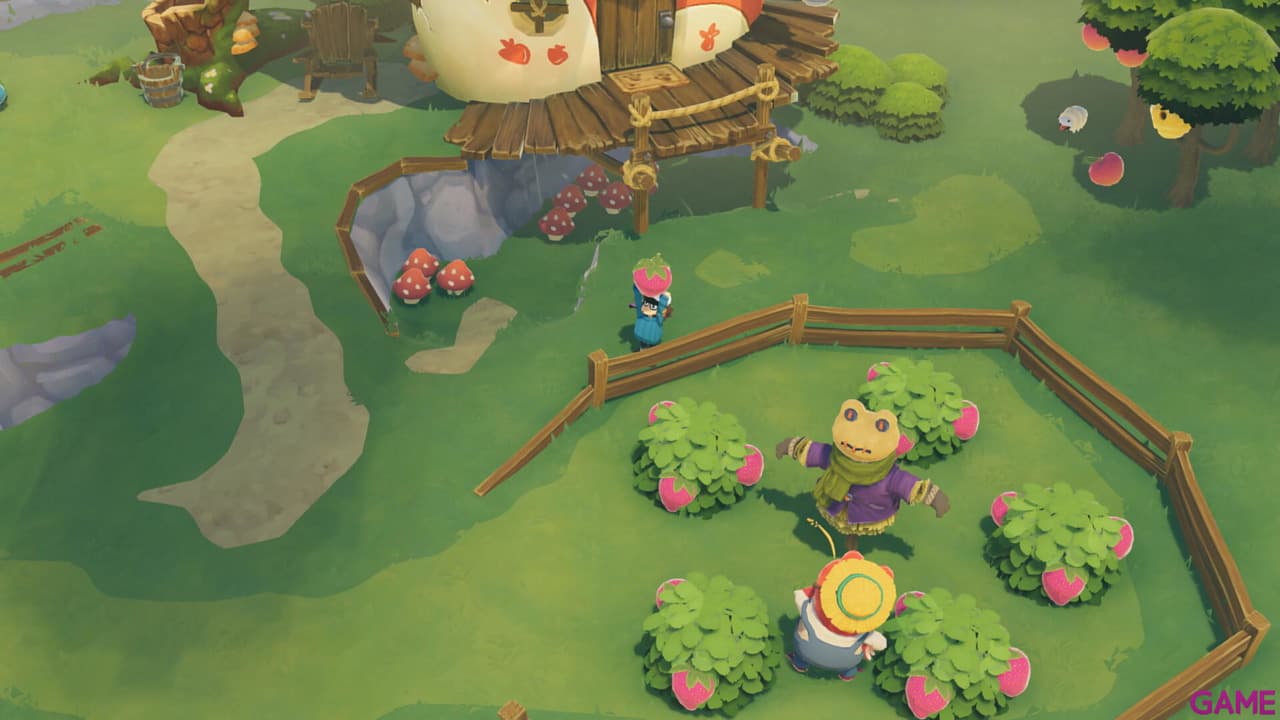 Time on Frog Island Nintendo Switch