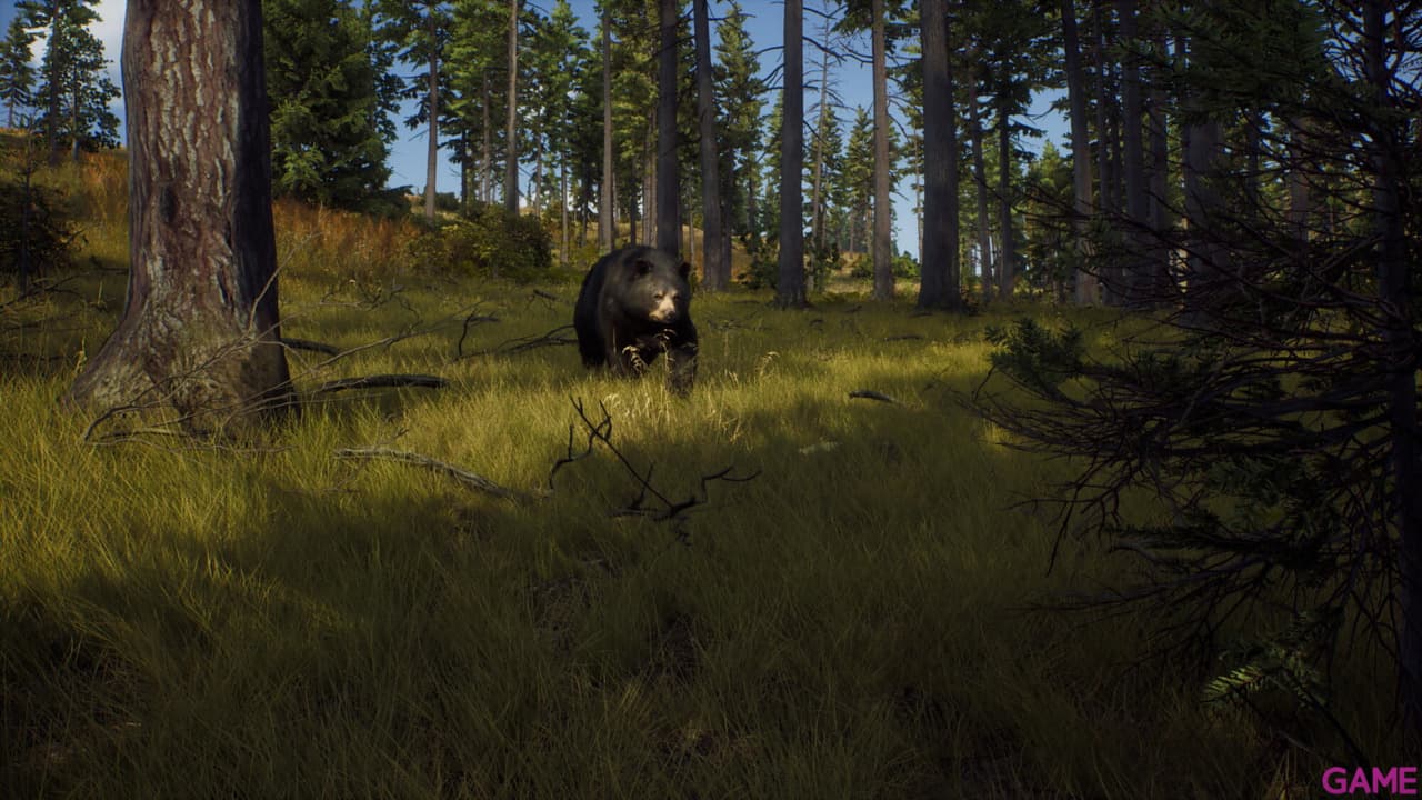 Way of the Hunter