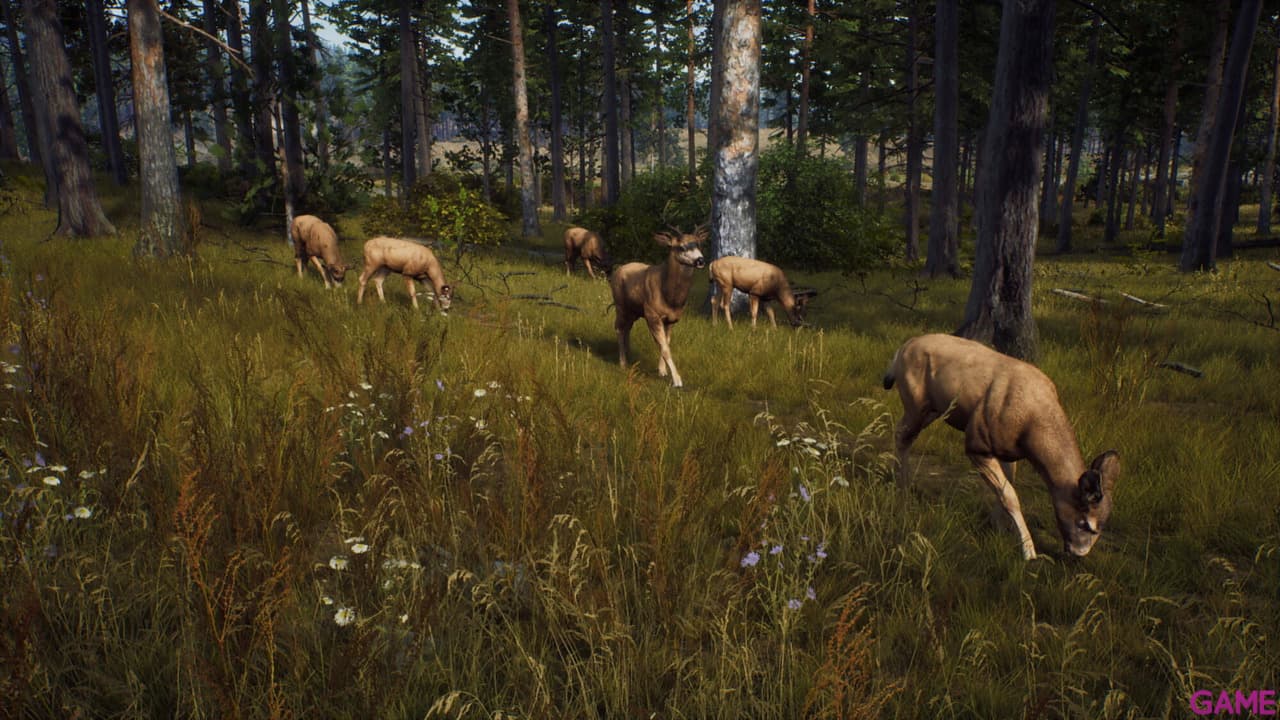 Way of the Hunter