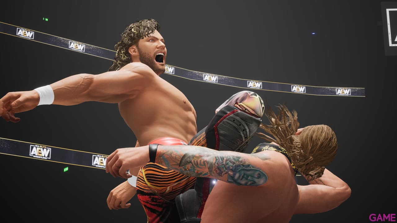 All Elite Wrestling Fight Forever