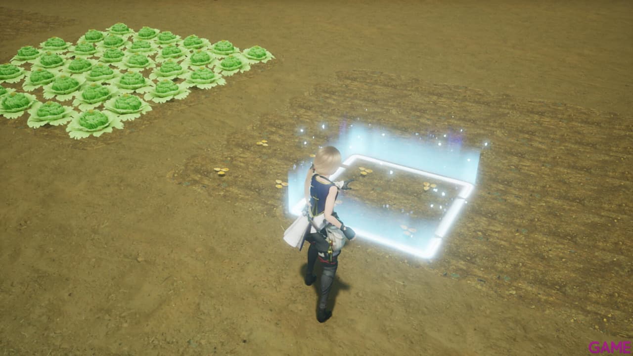 Harvestella