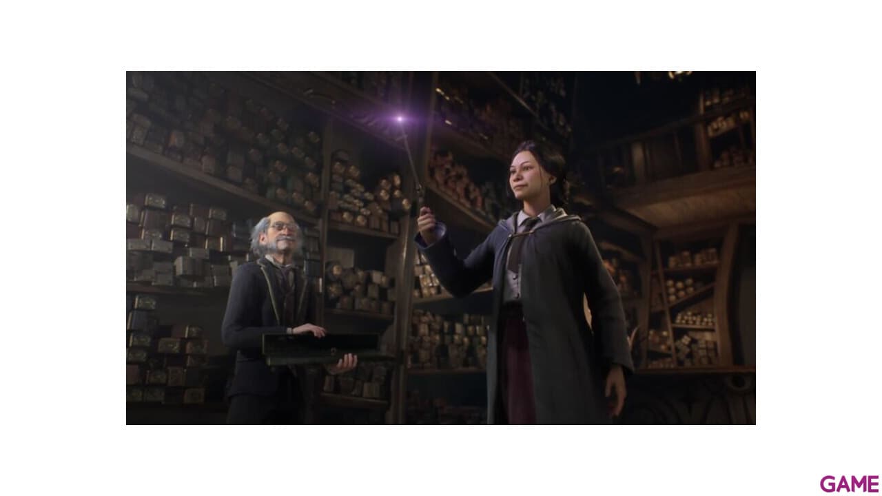 Hogwarts Legacy Collector´s Edition