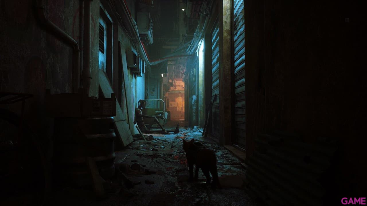 Stray