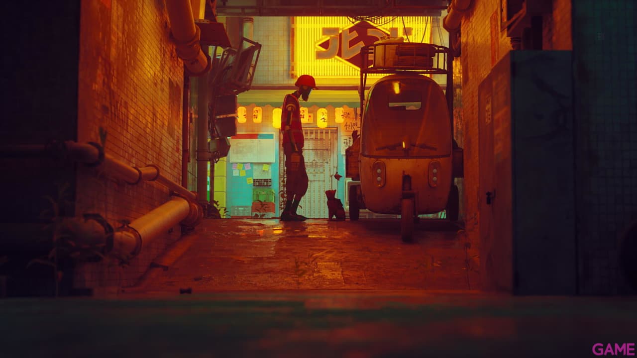 Stray