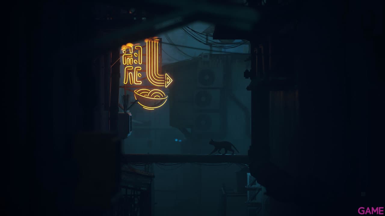 Stray