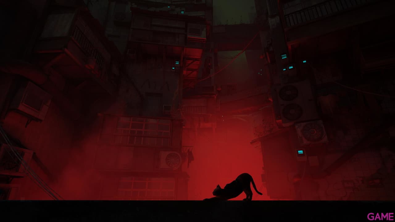 Stray