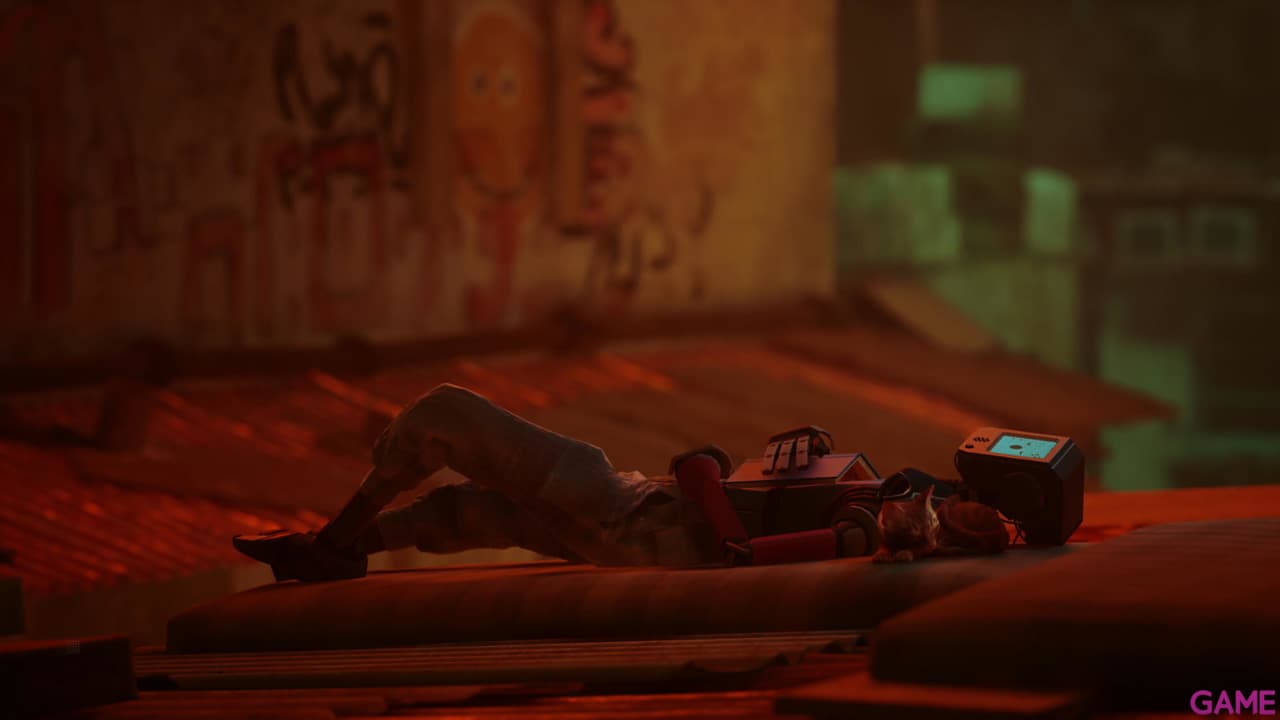Stray