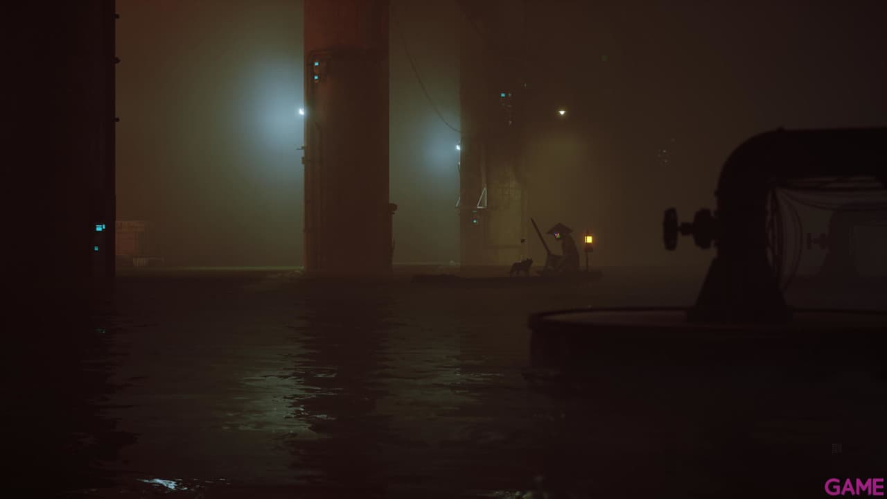 Stray