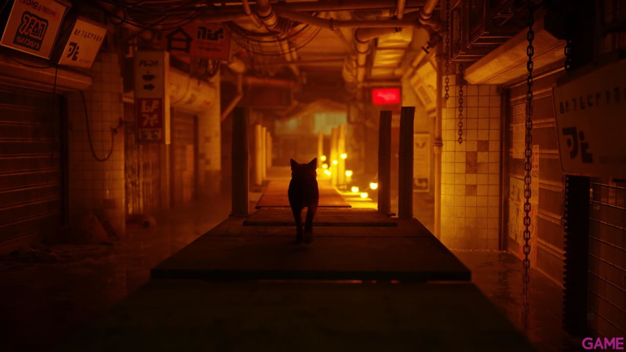 Stray