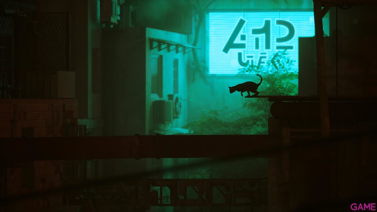 Stray