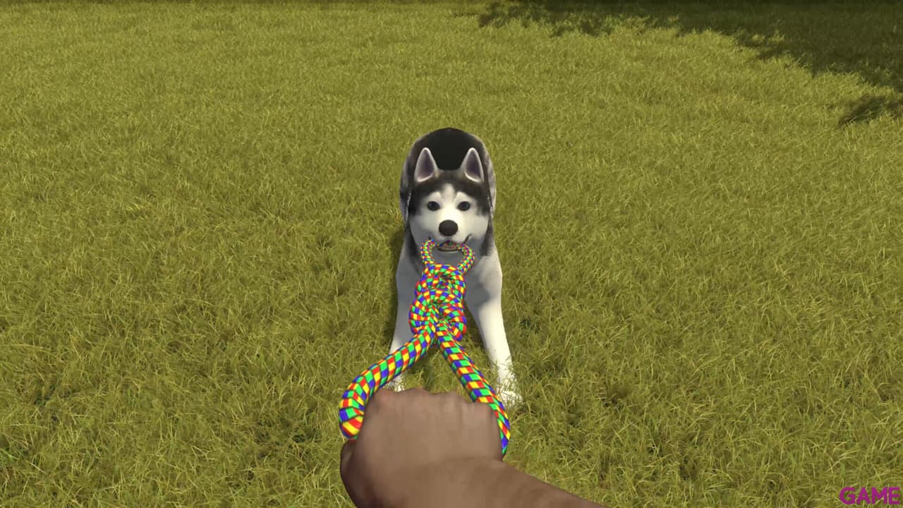 House Flipper - Pets Edition