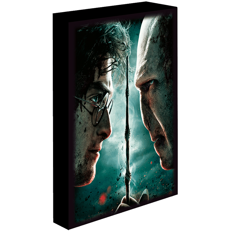 Lienzo con Iluminación 30x40cm Harry Potter: Harry vs Voldemort
