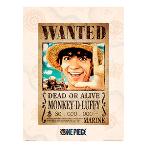 Lámina One Piece: Monkey D. Luffy WANTED