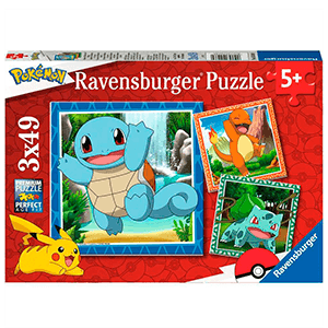 Puzzle Pokemon 3x49