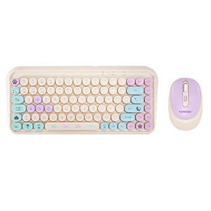 Pack Inalámbrico Cozy Tanooki - Reacondicionado